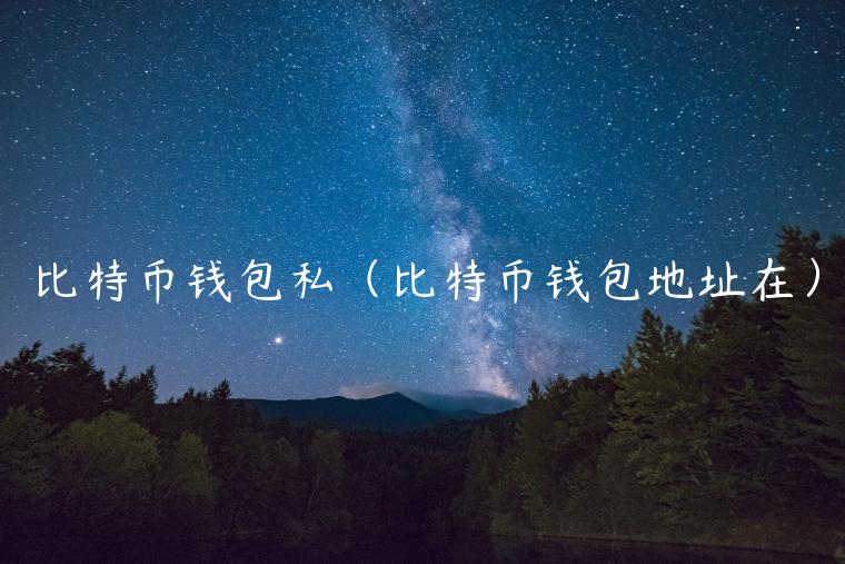 比特币钱包私（比特币钱包地址在）-第1张图片-芝麻开门下载
