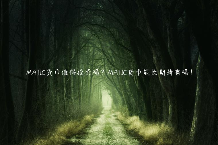 MATIC货币值得投资吗？MATIC货币能长期持有吗！-第1张图片-芝麻开门下载