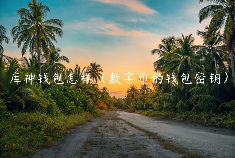 库神钱包怎样（数字币的钱包密钥）-第1张图片-芝麻开门下载