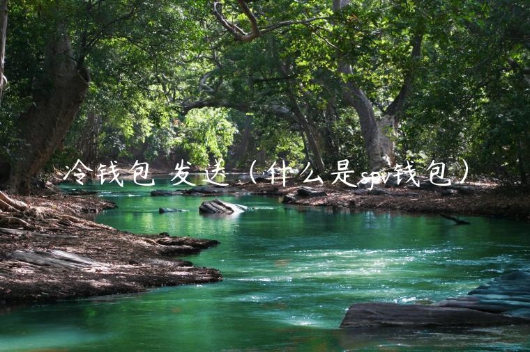 冷钱包 发送（什么是spv钱包）-第1张图片-芝麻开门下载