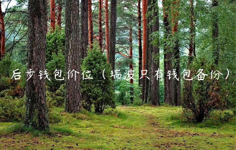后步钱包价位（瑞波只有钱包备份）-第1张图片-芝麻开门下载