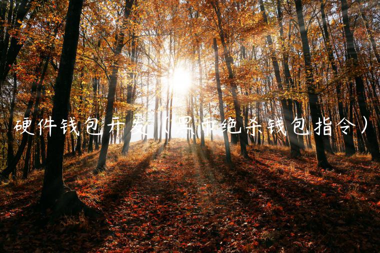 硬件钱包开发（黑币绝杀钱包指令）-第1张图片-芝麻开门下载