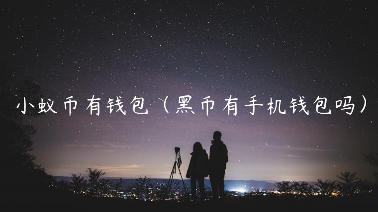 小蚁币有钱包（黑币有手机钱包吗）-第1张图片-芝麻开门下载