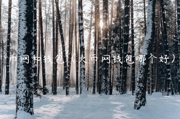 币网和钱包（火币网钱包哪个好）-第1张图片-芝麻开门下载
