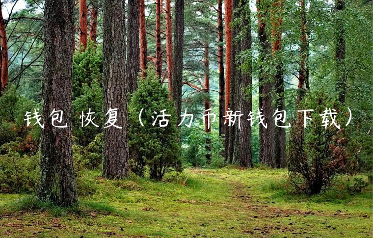 钱包 恢复（活力币新钱包下载）-第1张图片-芝麻开门下载