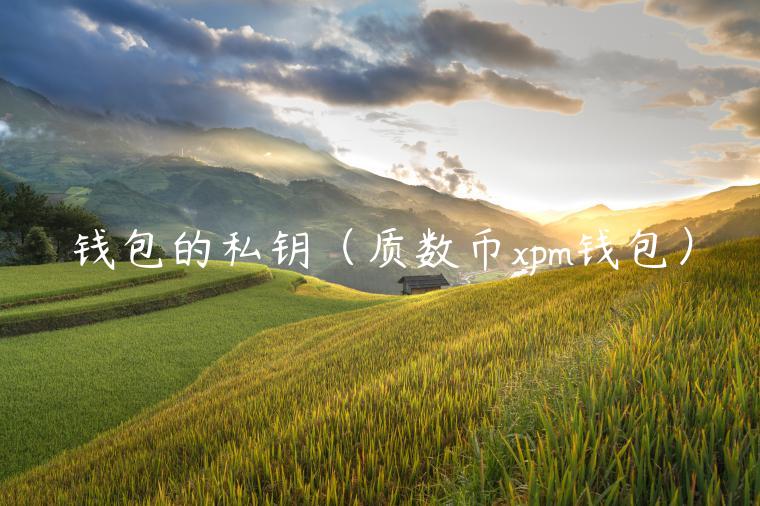 钱包的私钥（质数币pm钱包）-第1张图片-芝麻开门下载