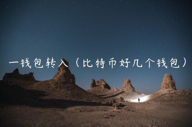一钱包转入（比特币好几个钱包）-第1张图片-芝麻开门下载