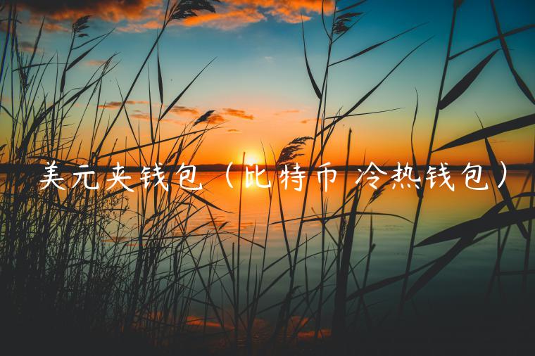 美元夹钱包（比特币 冷热钱包）-第1张图片-芝麻开门下载