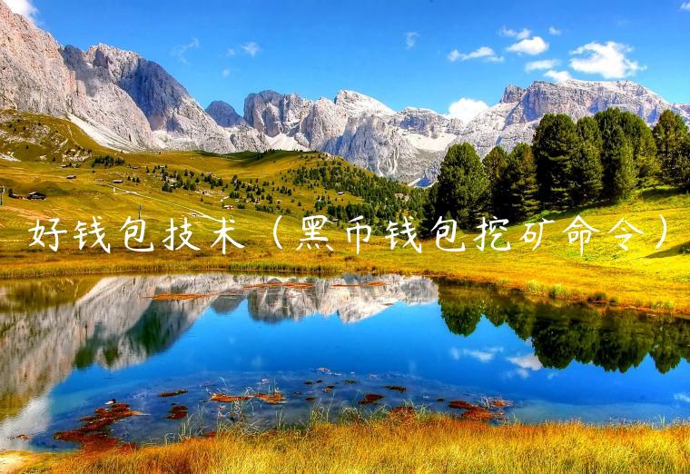 好钱包技术（黑币钱包挖矿命令）-第1张图片-芝麻开门下载