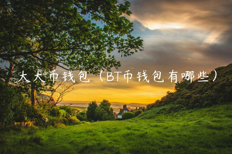大大币钱包（BT币钱包有哪些）-第1张图片-芝麻开门下载