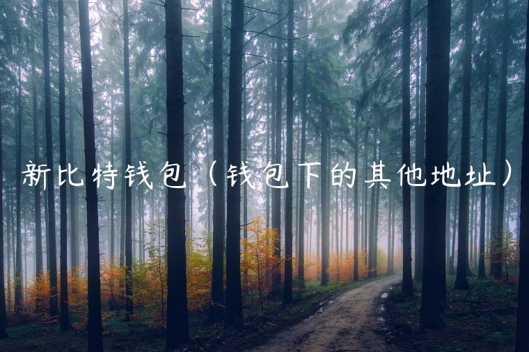 新比特钱包（钱包下的其他地址）-第1张图片-芝麻开门下载