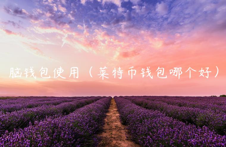 脑钱包使用（莱特币钱包哪个好）-第1张图片-芝麻开门下载