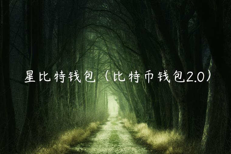 星比特钱包（比特币钱包2.0）-第1张图片-芝麻开门下载