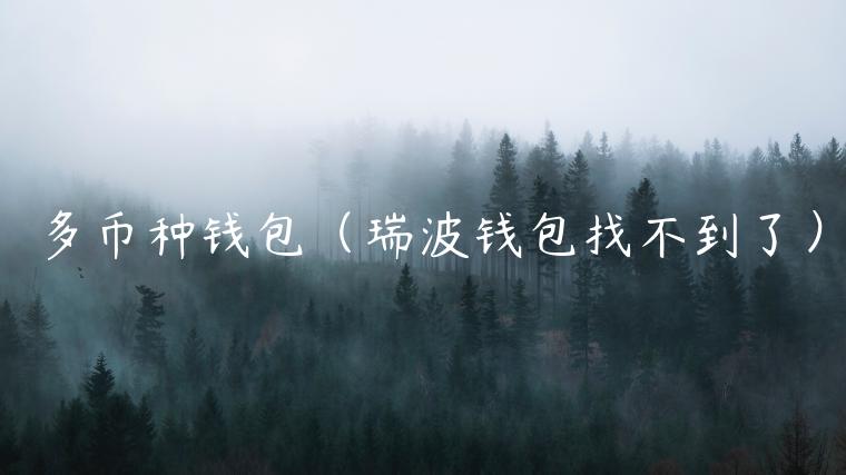 多币种钱包（瑞波钱包找不到了）-第1张图片-芝麻开门下载