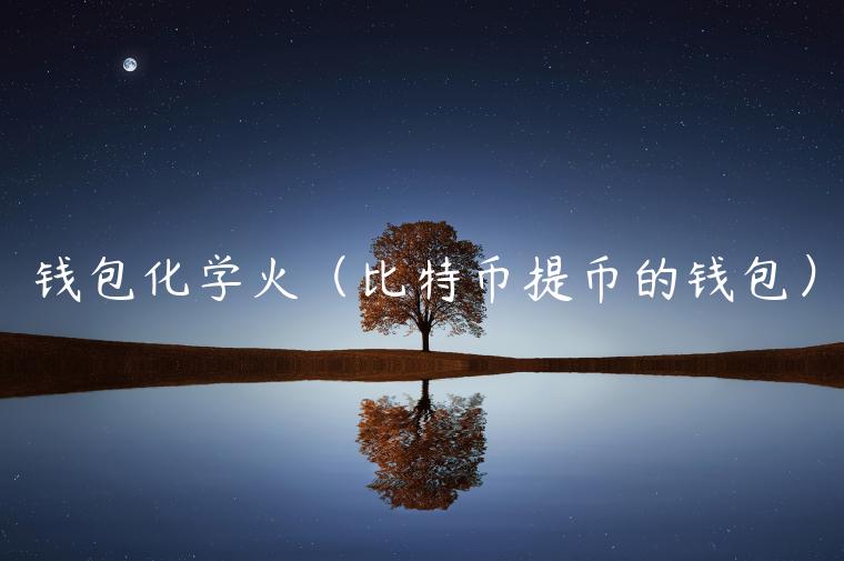 钱包化学火（比特币提币的钱包）-第1张图片-芝麻开门下载