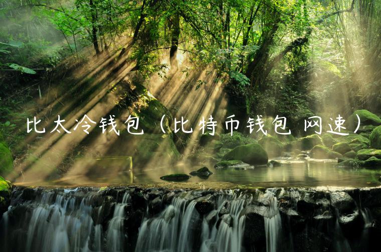 比太冷钱包（比特币钱包 网速）-第1张图片-芝麻开门下载