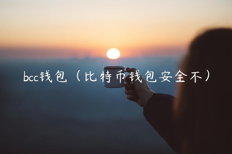 bcc钱包（比特币钱包安全不）-第1张图片-芝麻开门下载
