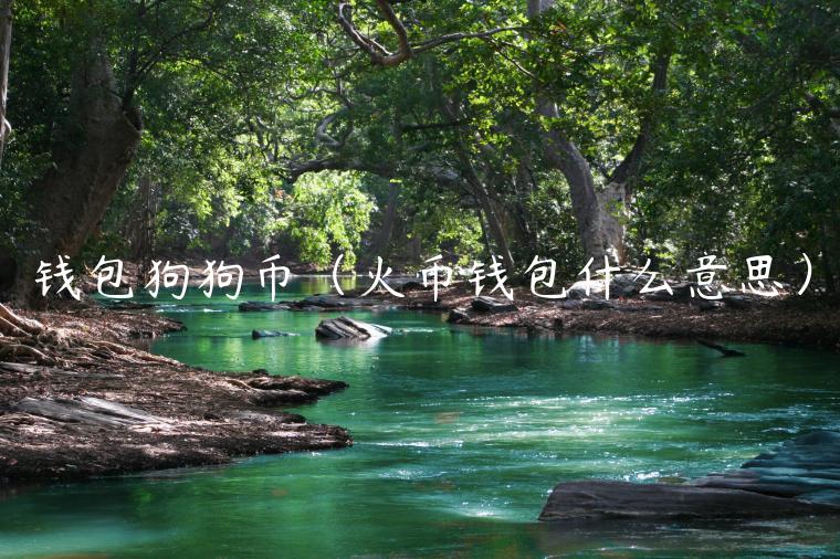 钱包狗狗币（火币钱包什么意思）-第1张图片-芝麻开门下载