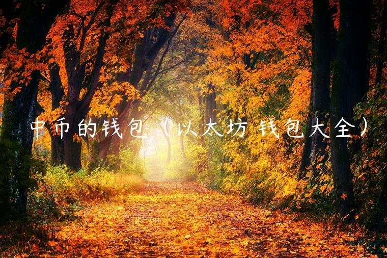 中币的钱包（以太坊 钱包大全）-第1张图片-芝麻开门下载