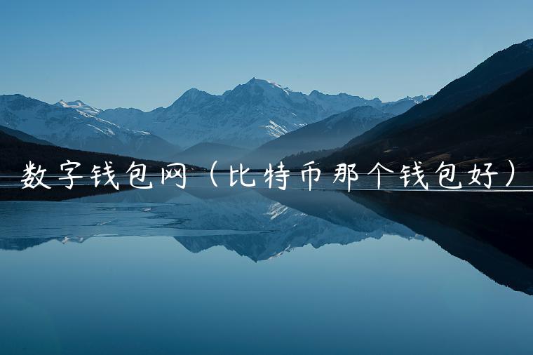 数字钱包网（比特币那个钱包好）-第1张图片-芝麻开门下载
