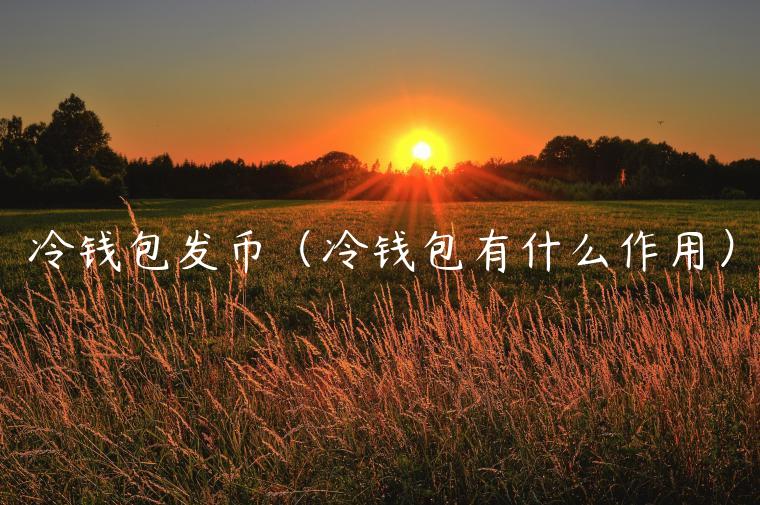 冷钱包发币（冷钱包有什么作用）-第1张图片-芝麻开门下载