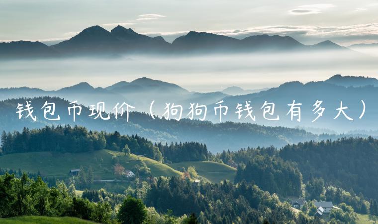 钱包币现价（狗狗币钱包有多大）-第1张图片-芝麻开门下载