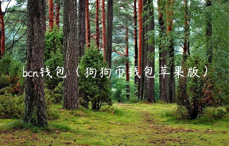 bcn钱包（狗狗币钱包苹果版）-第1张图片-芝麻开门下载