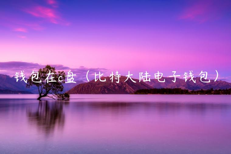 钱包在c盘（比特大陆电子钱包）-第1张图片-芝麻开门下载