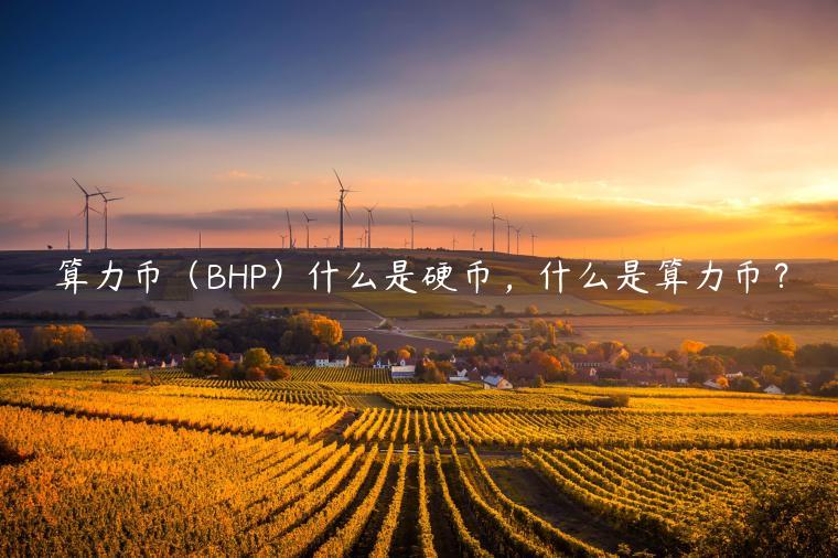 算力币（BHP）什么是硬币，什么是算力币？-第1张图片-芝麻开门下载