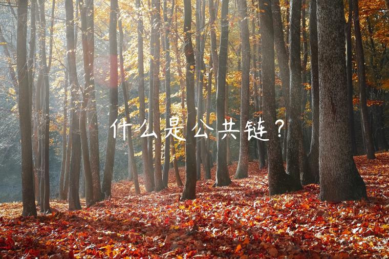 什么是公共链？-第1张图片-芝麻开门下载