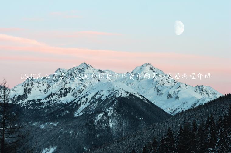 USDC怎么买卖，USDC介绍货介绍货币购买和交易流程介绍-第1张图片-芝麻开门下载