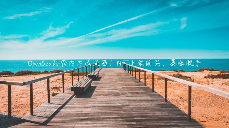 OpnSa高管内内线交易！NFT上架前买，暴涨脱手-第1张图片-芝麻开门下载