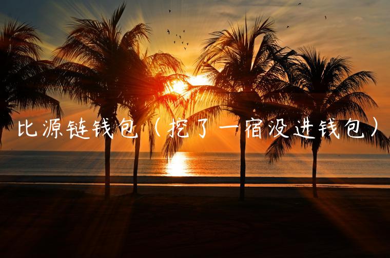比源链钱包（挖了一宿没进钱包）-第1张图片-芝麻开门下载