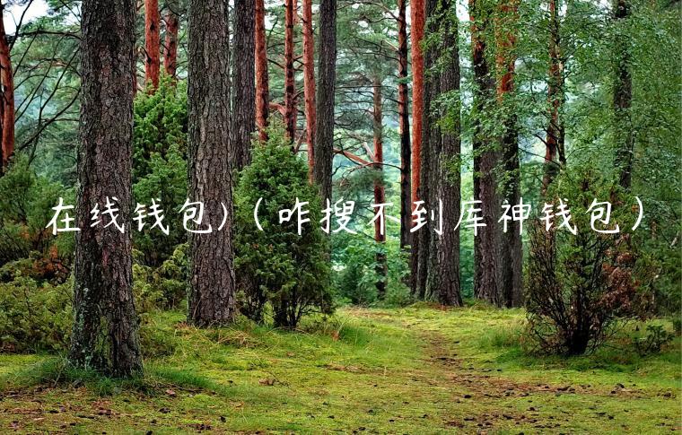 在线钱包（咋搜不到库神钱包）-第1张图片-芝麻开门下载