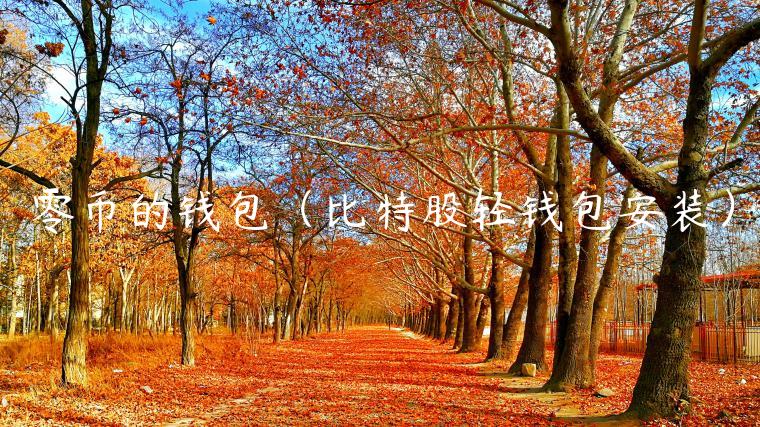 零币的钱包（比特股轻钱包安装）-第1张图片-芝麻开门下载
