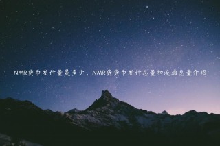 NMR货币发行量是多少，NMR货货币发行