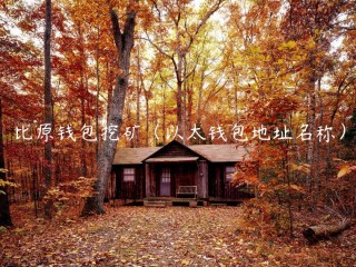 比原钱包挖矿（以太钱包地址名称）