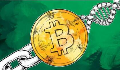国内买比特币的平台有哪些推荐 买比特币的平台排名最新-第1张图片-芝麻开门下载