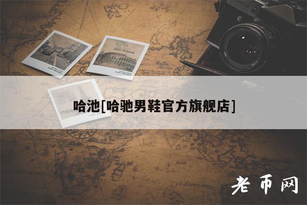 哈池[哈驰男鞋官方旗舰店]-第1张图片-芝麻开门下载