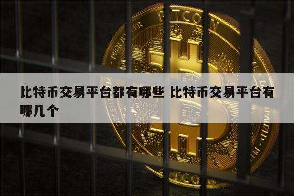 比特币交易平台都有哪些 比特币交易平台有哪几个安全-第1张图片-芝麻开门下载