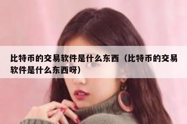 比特币的交易软件是什么东西（比特币的交易软件是什么东西呀）-第1张图片-芝麻开门下载