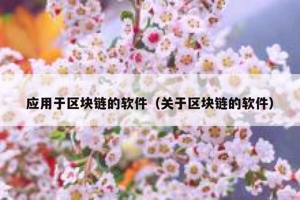 应用于区块链的软件（关于区块链的软件）-第1张图片-芝麻开门下载