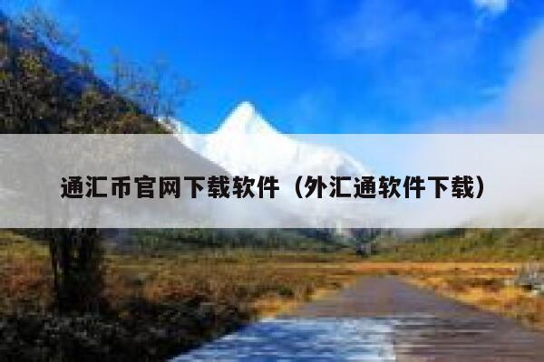 通汇币官网下载软件（外汇通软件下载）-第1张图片-芝麻开门下载