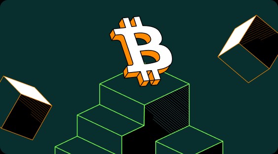 国内还有那些比特币交易平台 国内正规的比特币交易app-第1张图片-芝麻开门下载