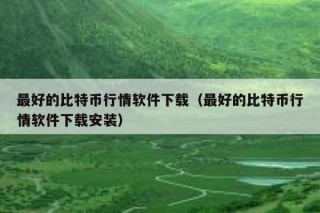 最好的比特币行情软件下载（最好的比