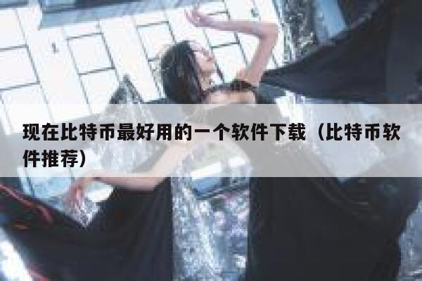 现在比特币最好用的一个软件下载（比特币软件推荐）-第1张图片-芝麻开门下载