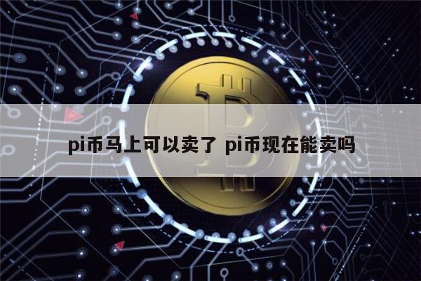 pi币可以卖了吗 pi币现在能出售吗-第1张图片-芝麻开门下载