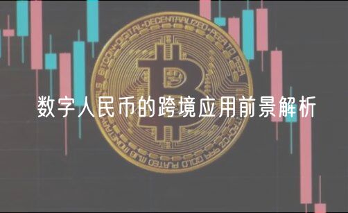 数字人民币的跨境应用前景解析-第1张图片-芝麻开门下载