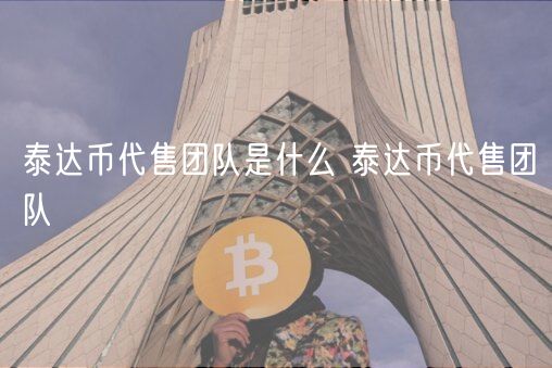 泰达币代售团队是什么 泰达币代售团队-第1张图片-芝麻开门下载