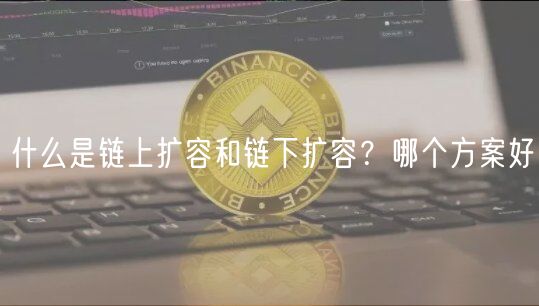 什么是链上扩容和链下扩容？哪个方案好-第1张图片-芝麻开门下载